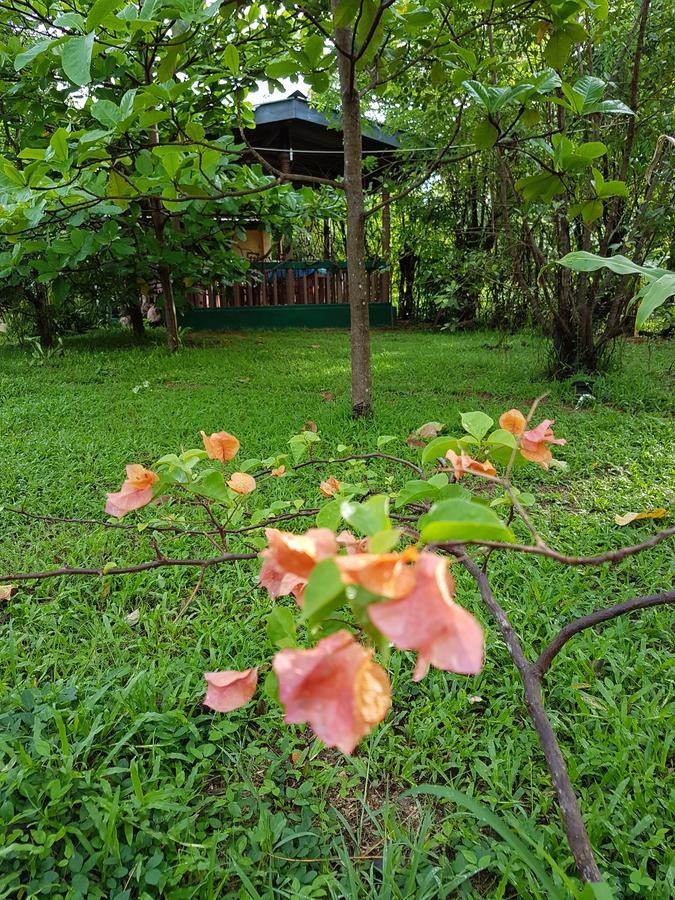 Sigiri Heritage Villa Sigiriya Bagian luar foto