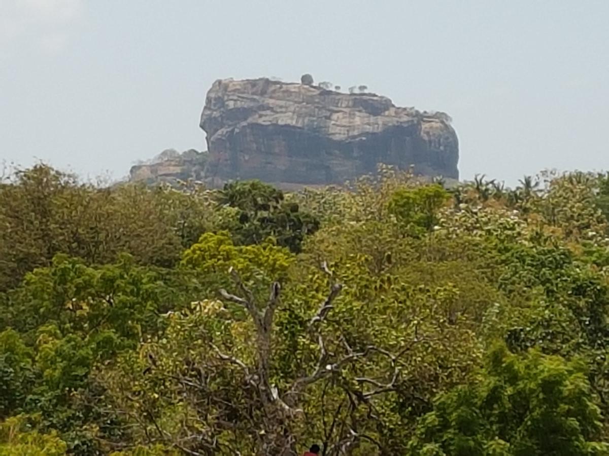 Sigiri Heritage Villa Sigiriya Bagian luar foto